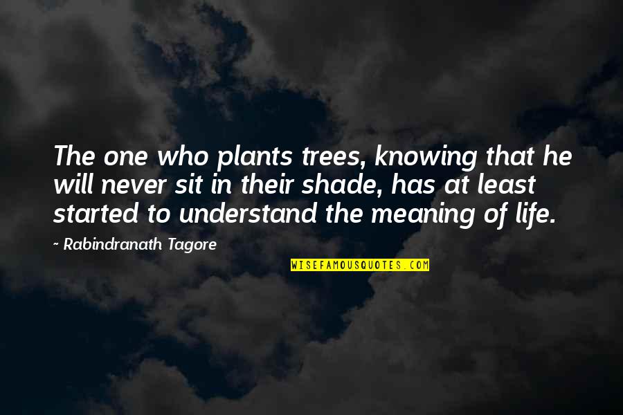 Not Knowing Who You Are Quotes By Rabindranath Tagore: The one who plants trees, knowing that he