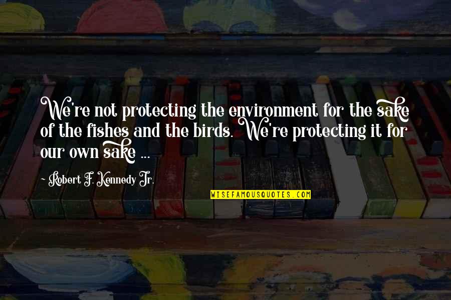 Not Knowing Who You Can Trust Quotes By Robert F. Kennedy Jr.: We're not protecting the environment for the sake Not Knowing Who You Can Trust Quotes By Robert F. Kennedy Jr.: We're not protecting the environment for the sake