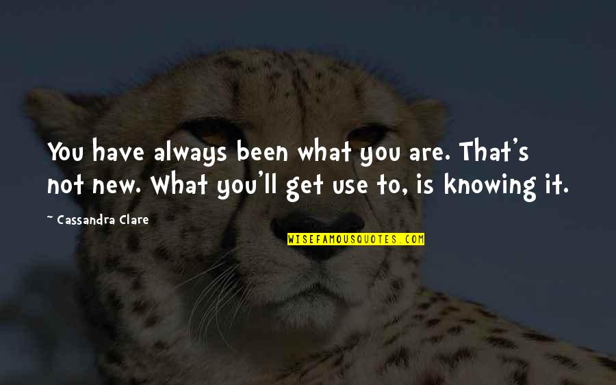 Not Knowing You Quotes By Cassandra Clare: You have always been what you are. That's