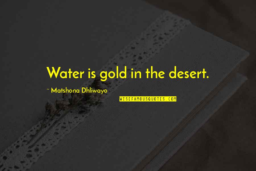 Not Liking The Way You Look Quotes By Matshona Dhliwayo: Water is gold in the desert.