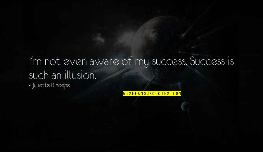 Not Listening To Advice Quotes By Juliette Binoche: I'm not even aware of my success. Success