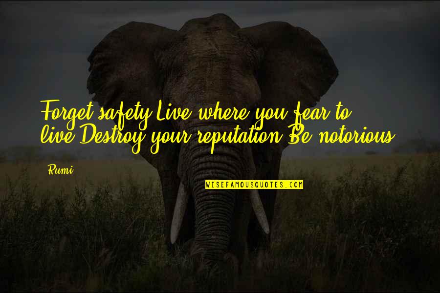 Not Live In Fear Quotes By Rumi: Forget safety.Live where you fear to live.Destroy your
