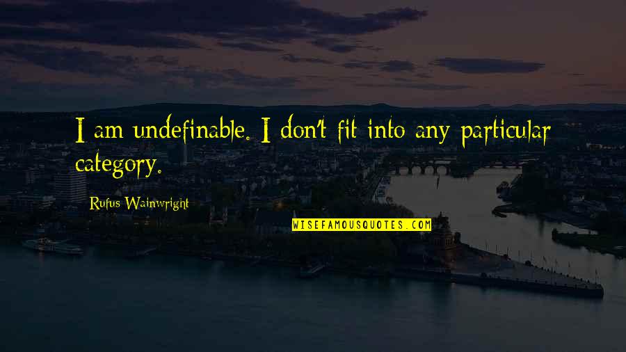 Not Living To Please You Quotes By Rufus Wainwright: I am undefinable. I don't fit into any Not Living To Please You Quotes By Rufus Wainwright: I am undefinable. I don't fit into any