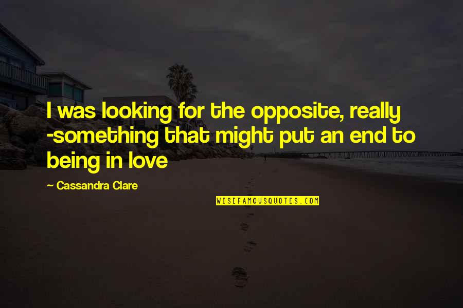 Not Looking For Love Quotes By Cassandra Clare: I was looking for the opposite, really -something