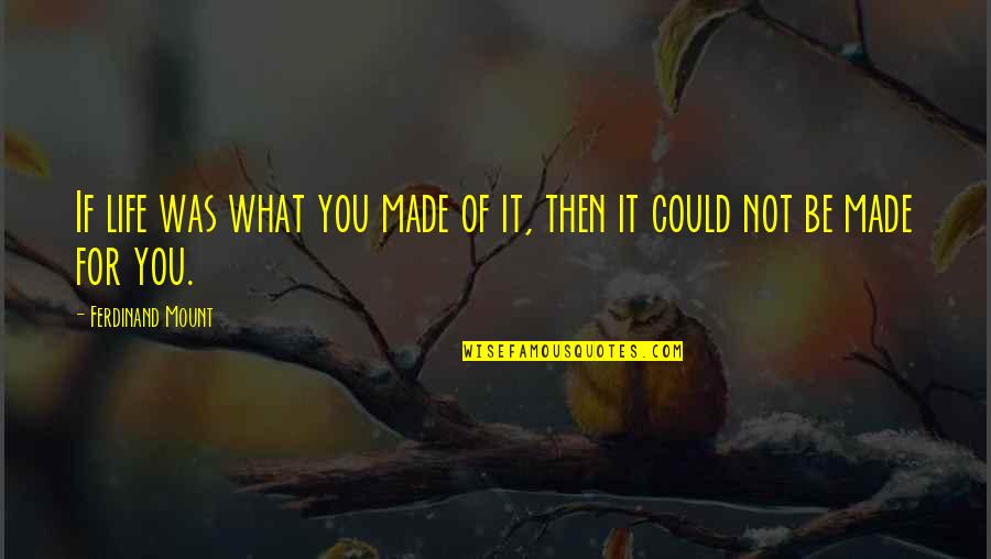 Not Made For You Quotes By Ferdinand Mount: If life was what you made of it,