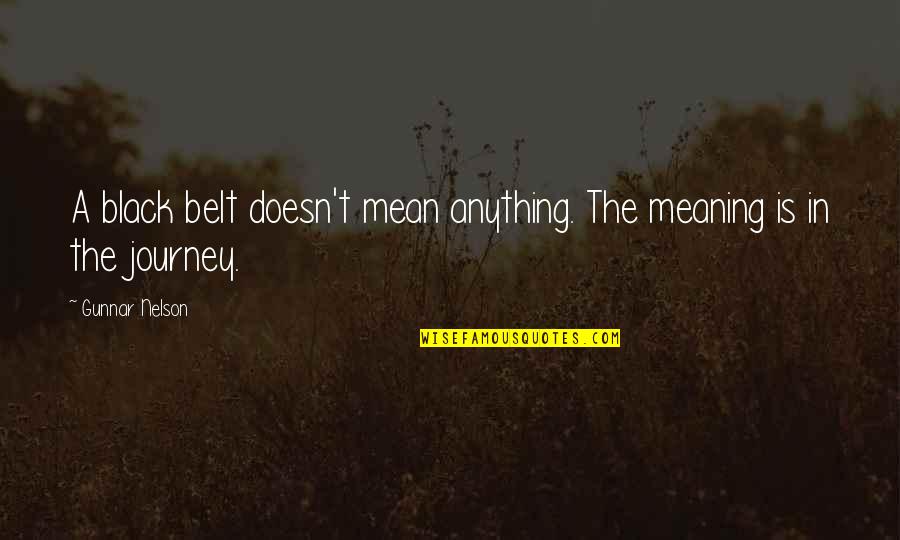 Not Meaning Anything Quotes By Gunnar Nelson: A black belt doesn't mean anything. The meaning