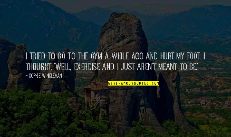Not Meant To Hurt You Quotes By Sophie Winkleman: I tried to go to the gym a