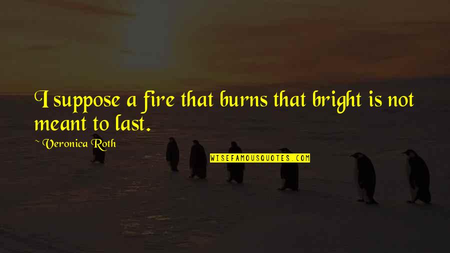 Not Meant To Last Quotes By Veronica Roth: I suppose a fire that burns that bright