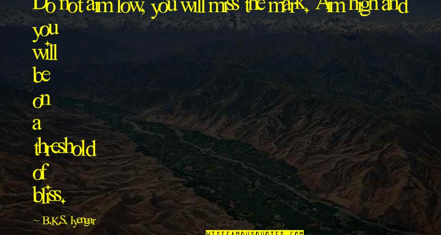 Not Miss You Quotes By B.K.S. Iyengar: Do not aim low, you will miss the
