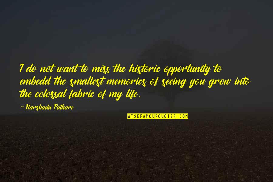Not Miss You Quotes By Harshada Pathare: I do not want to miss the historic