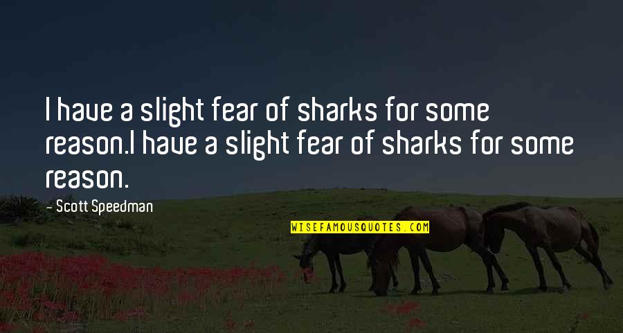 Not Missing Something Until It's Gone Quotes By Scott Speedman: I have a slight fear of sharks for