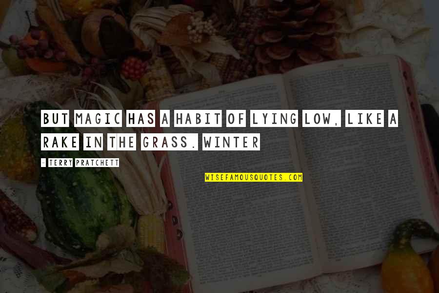 Not My Habit Quotes By Terry Pratchett: But magic has a habit of lying low, Not My Habit Quotes By Terry Pratchett: But magic has a habit of lying low,