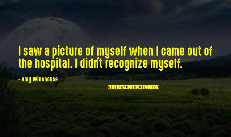 Not Myself Picture Quotes By Amy Winehouse: I saw a picture of myself when I