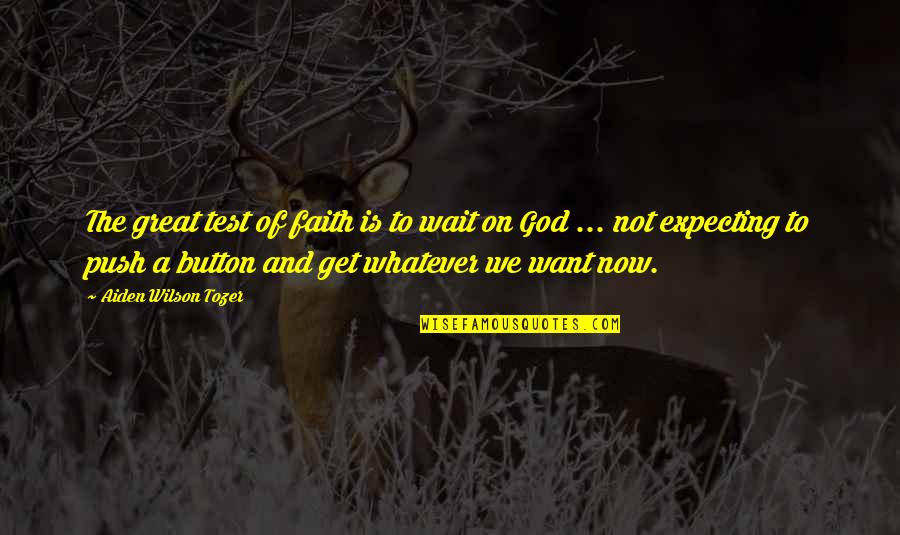 Not Now Quotes By Aiden Wilson Tozer: The great test of faith is to wait