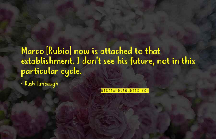 Not Now Quotes By Rush Limbaugh: Marco [Rubio] now is attached to that establishment.