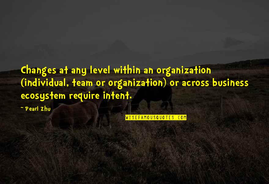 Not On My Level Quotes By Pearl Zhu: Changes at any level within an organization (individual,