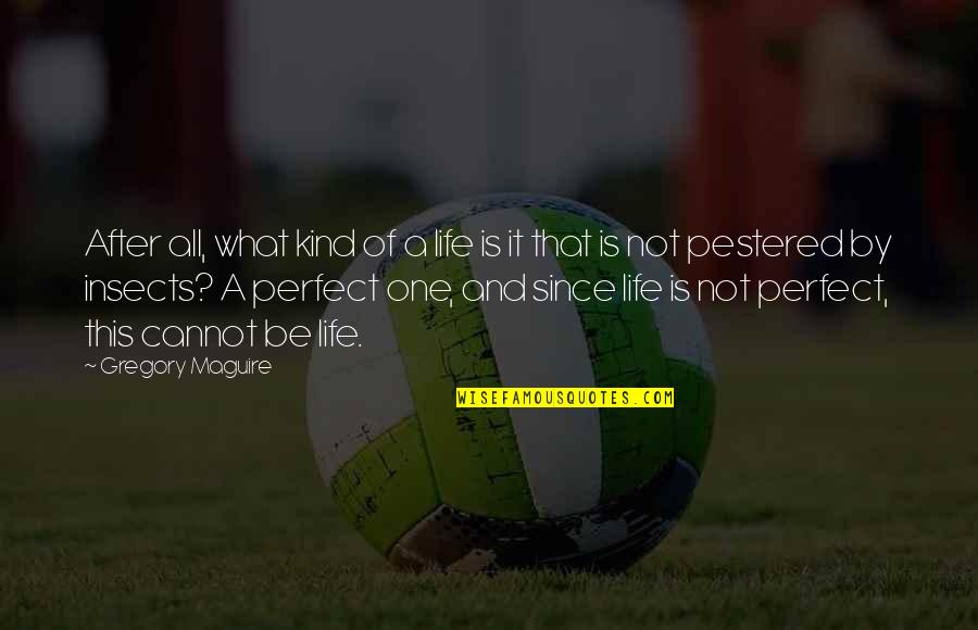 Not Perfect Life Quotes By Gregory Maguire: After all, what kind of a life is Not Perfect Life Quotes By Gregory Maguire: After all, what kind of a life is