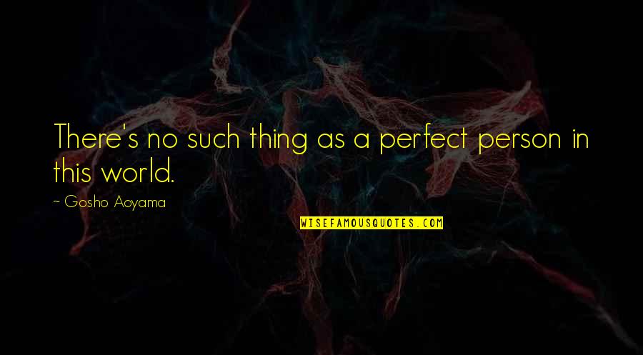 Not Perfect Person Quotes By Gosho Aoyama: There's no such thing as a perfect person