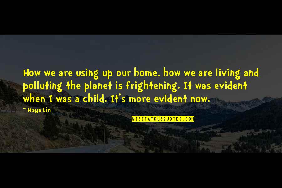 Not Polluting Quotes By Maya Lin: How we are using up our home, how