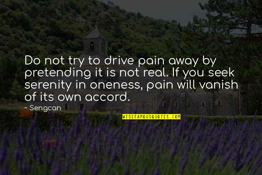 Not Pretending Quotes By Sengcan: Do not try to drive pain away by