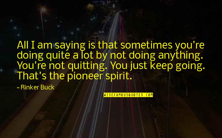 Not Quitting Life Quotes By Rinker Buck: All I am saying is that sometimes you're