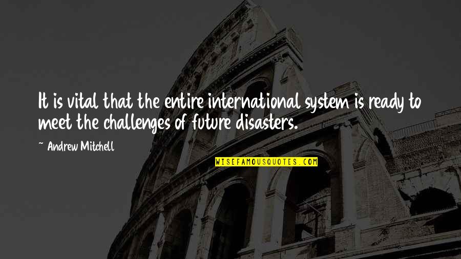 Not Ready For The Future Quotes By Andrew Mitchell: It is vital that the entire international system