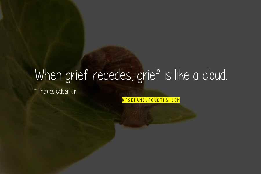 Not Realizing What's Right In Front Of You Quotes By Thomas Golden Jr.: When grief recedes, grief is like a cloud.