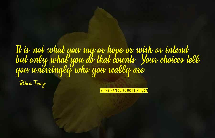 Not Really Inspirational Quotes By Brian Tracy: It is not what you say or hope