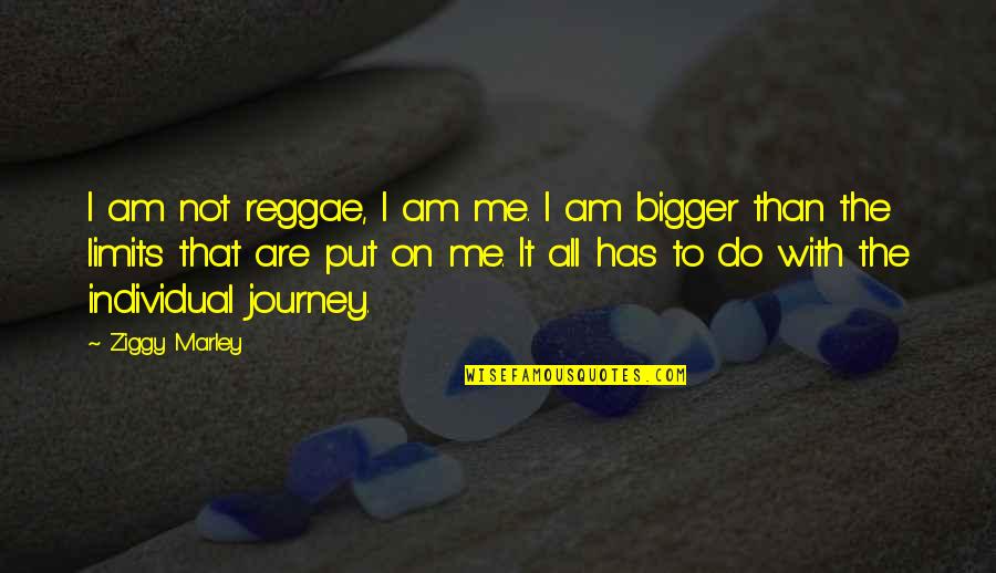Not Really Liking Someone Quotes By Ziggy Marley: I am not reggae, I am me. I