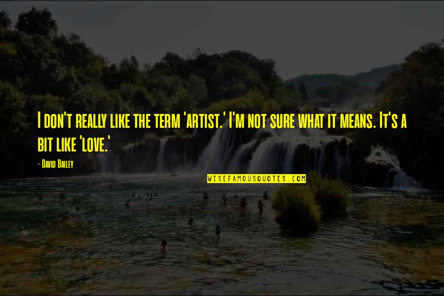 Not Really Love Quotes By David Bailey: I don't really like the term 'artist.' I'm Not Really Love Quotes By David Bailey: I don't really like the term 'artist.' I'm
