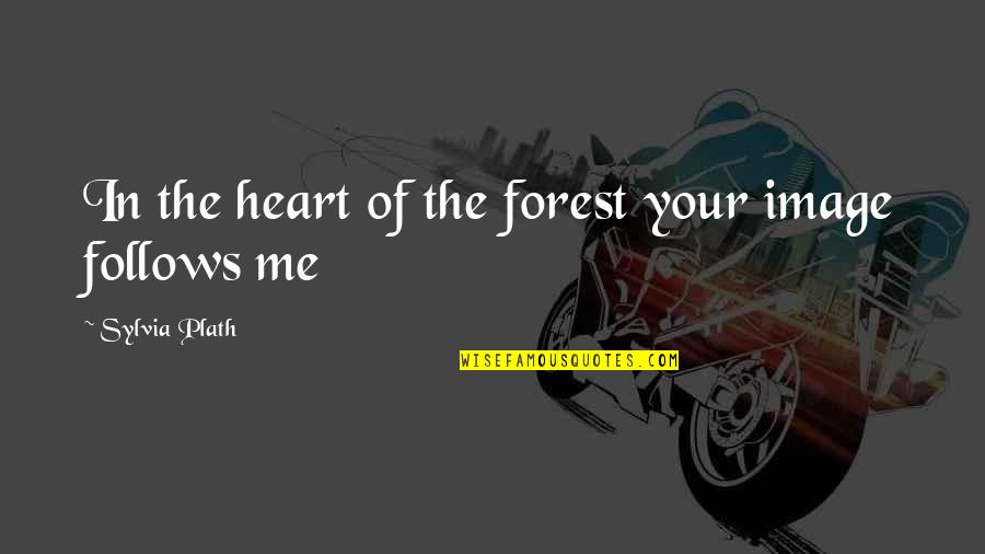 Not Regretting Past Relationships Quotes By Sylvia Plath: In the heart of the forest your image