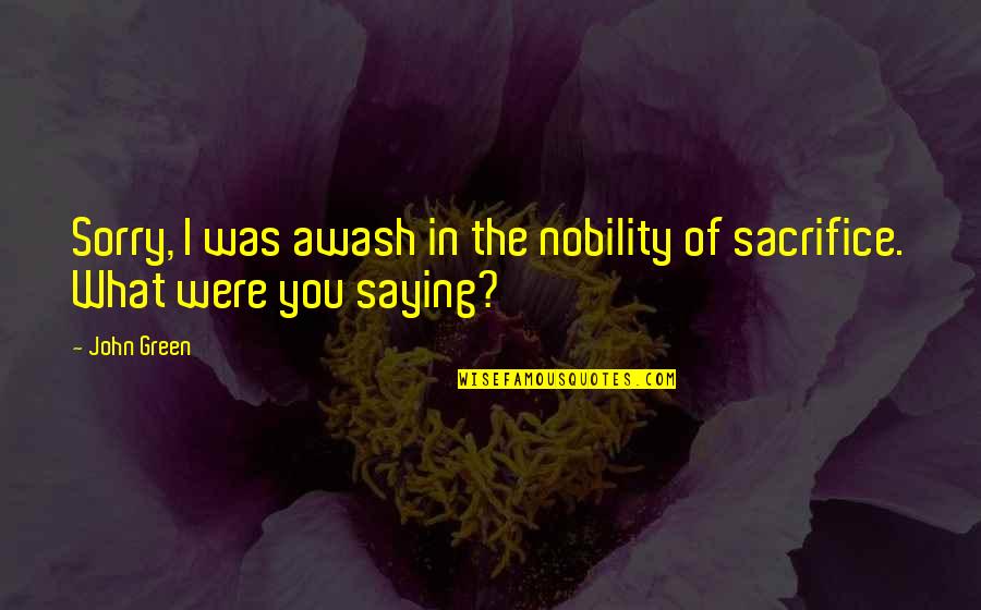Not Saying Sorry Quotes By John Green: Sorry, I was awash in the nobility of