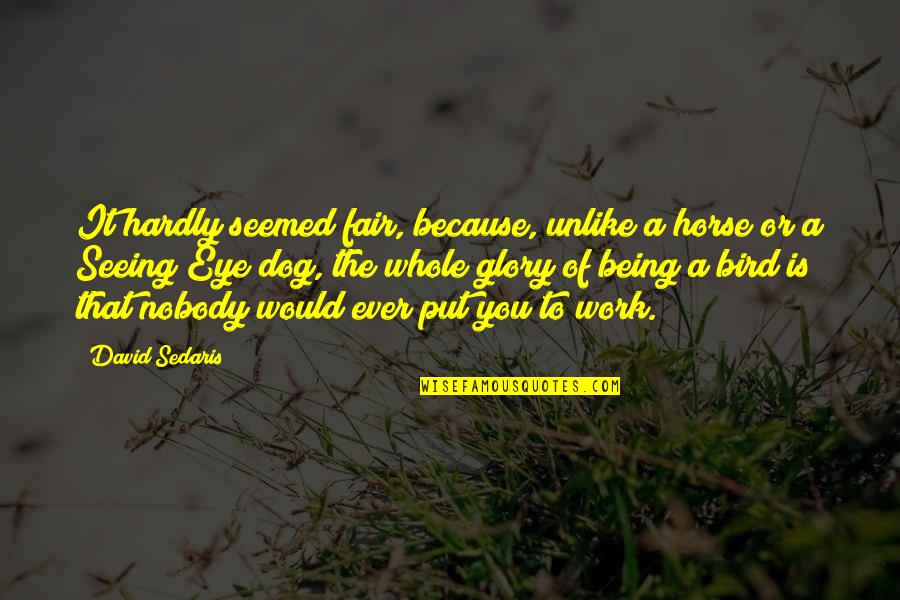 Not Seeing Eye To Eye Quotes By David Sedaris: It hardly seemed fair, because, unlike a horse