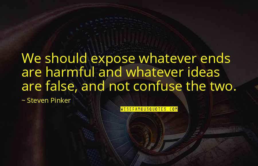 Not Seeing Your Grandchildren Quotes By Steven Pinker: We should expose whatever ends are harmful and Not Seeing Your Grandchildren Quotes By Steven Pinker: We should expose whatever ends are harmful and
