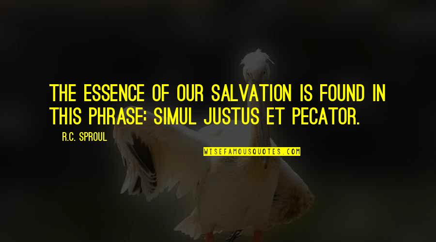 Not Shedding Tears Quotes By R.C. Sproul: The essence of our salvation is found in