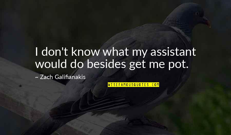 Not Smoking Pot Quotes By Zach Galifianakis: I don't know what my assistant would do