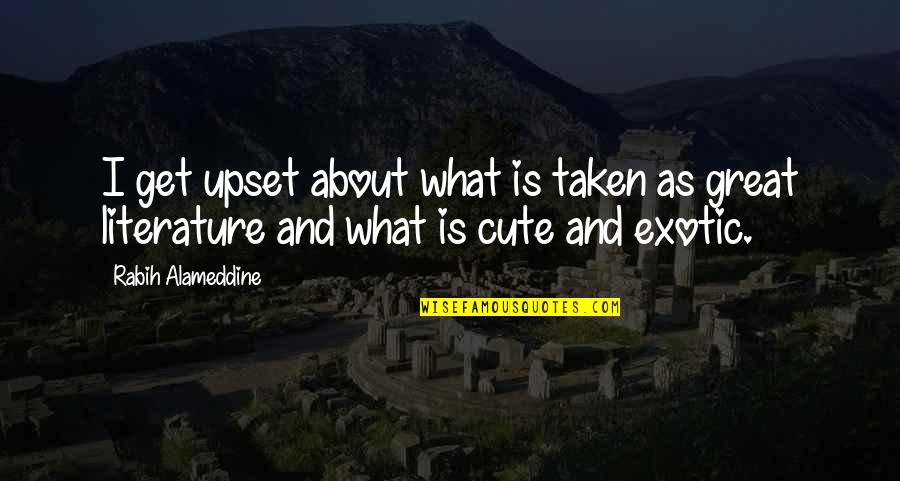 Not So Cute Quotes By Rabih Alameddine: I get upset about what is taken as