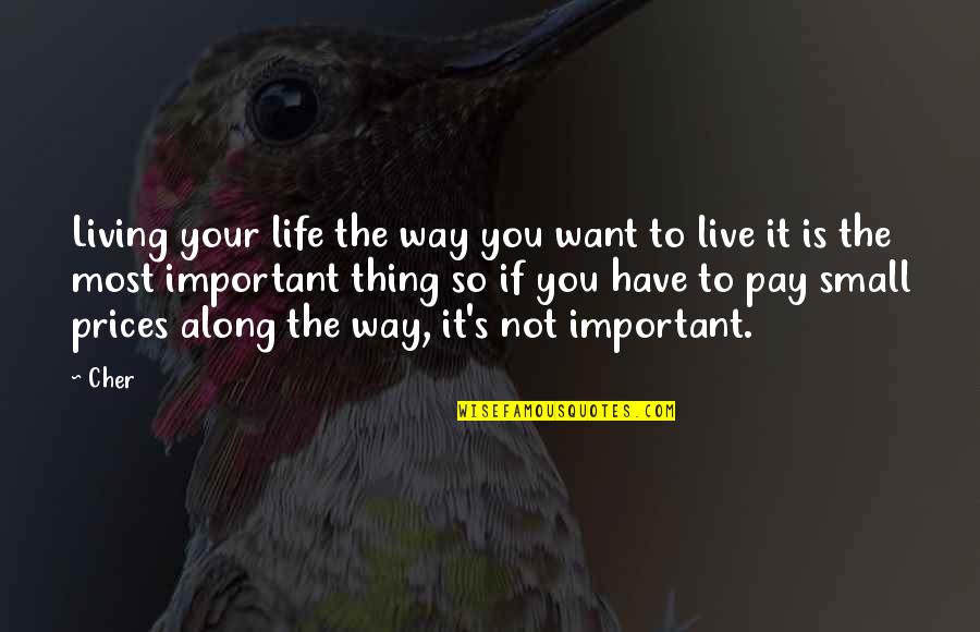 Not So Important Quotes By Cher: Living your life the way you want to