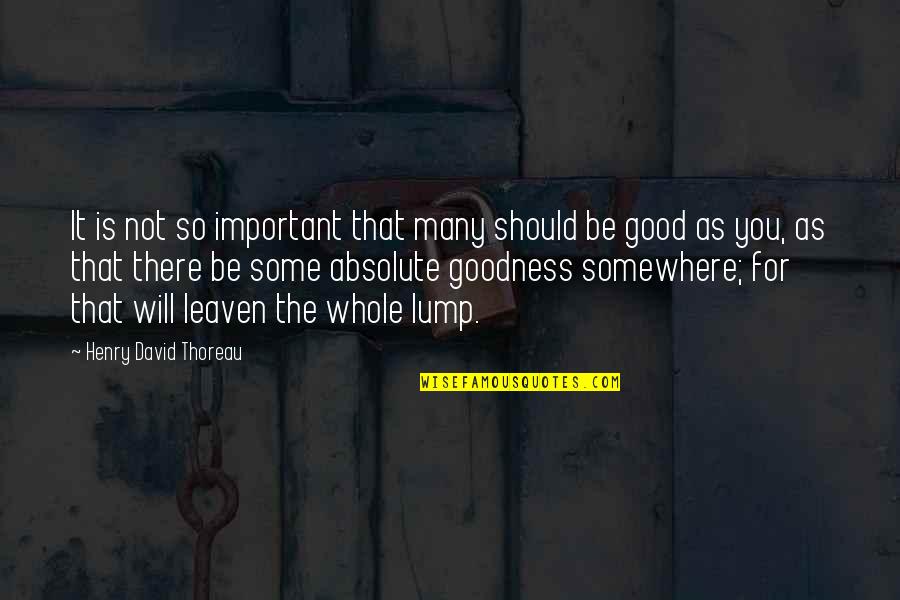 Not So Important Quotes By Henry David Thoreau: It is not so important that many should