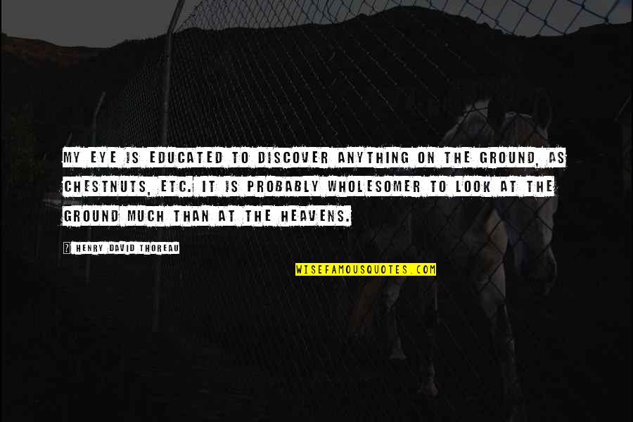 Not Speaking Ill Of The Dead Quotes By Henry David Thoreau: My eye is educated to discover anything on