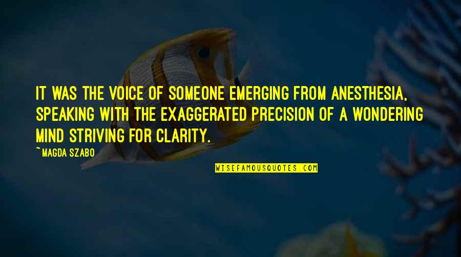 Not Speaking Your Mind Quotes By Magda Szabo: It was the voice of someone emerging from