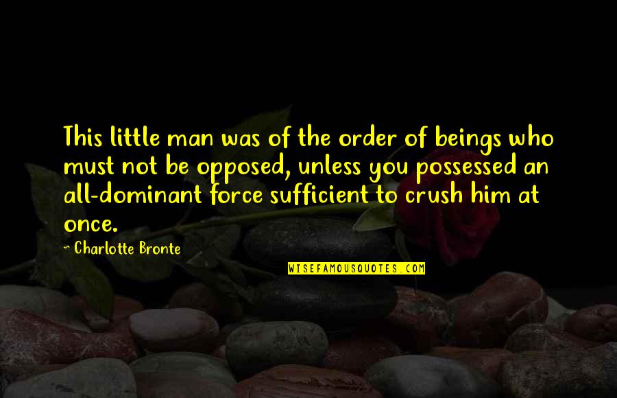 Not Standing Up Quotes By Charlotte Bronte: This little man was of the order of