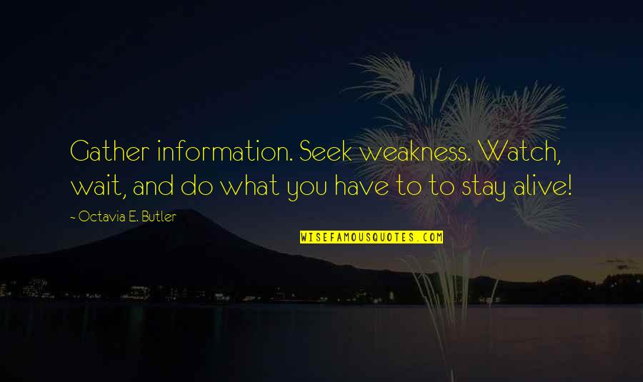 Not Stay Alive Quotes By Octavia E. Butler: Gather information. Seek weakness. Watch, wait, and do
