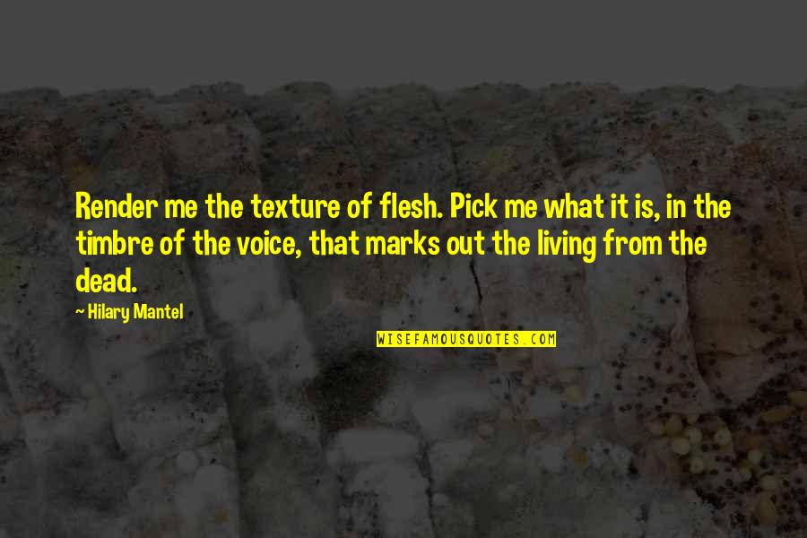 Not Stressing Tumblr Quotes By Hilary Mantel: Render me the texture of flesh. Pick me