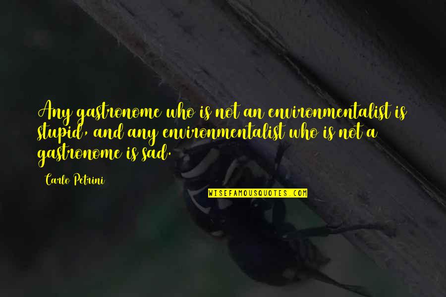 Not Stupid Quotes By Carlo Petrini: Any gastronome who is not an environmentalist is