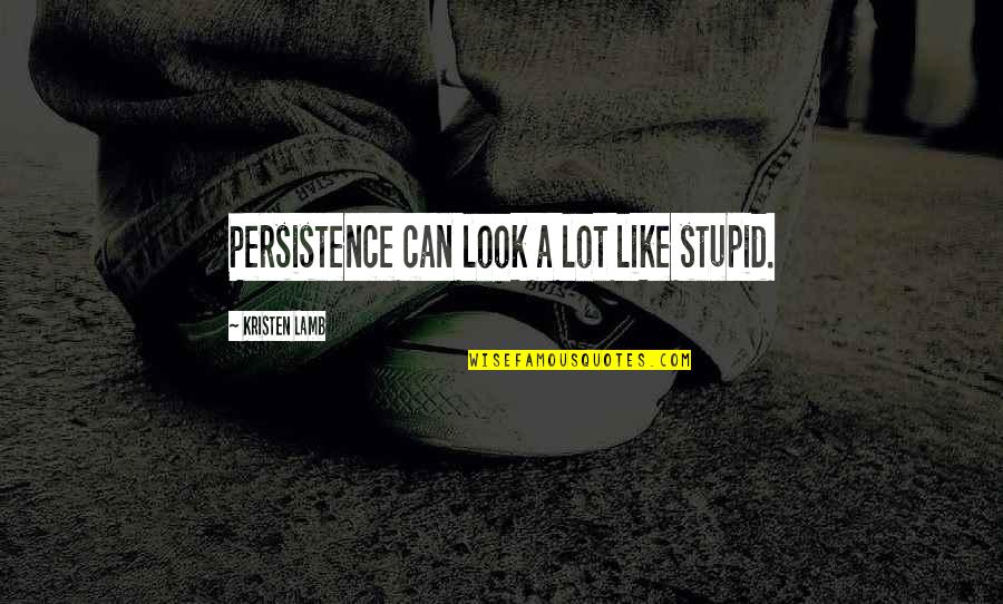 Not Stupid Quotes By Kristen Lamb: Persistence can look a lot like stupid.