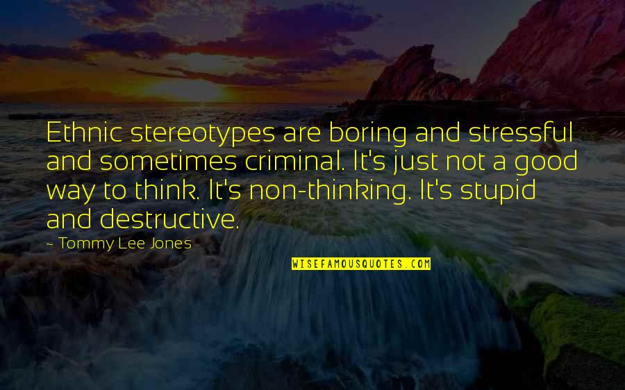 Not Stupid Quotes By Tommy Lee Jones: Ethnic stereotypes are boring and stressful and sometimes