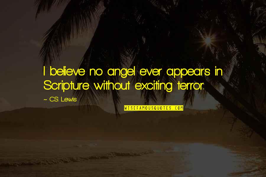 Not Sure What To Do Anymore Quotes By C.S. Lewis: I believe no angel ever appears in Scripture