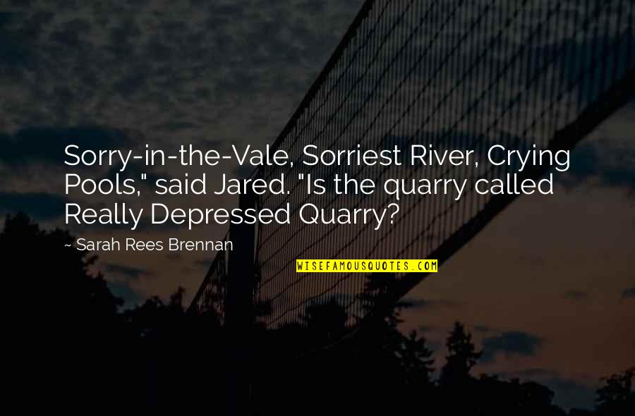 Not Sweet Boyfriend Quotes By Sarah Rees Brennan: Sorry-in-the-Vale, Sorriest River, Crying Pools," said Jared. "Is