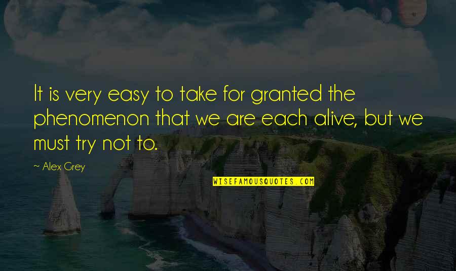 Not Taken For Granted Quotes By Alex Grey: It is very easy to take for granted